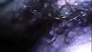 Hairy Pussy Toilet Piss Fetish