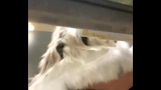 Real Granny Bathroom Voyeur