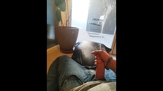 Pee desperation on my plant and pillow