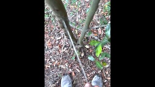 Slow motion piss compilation w/ bonus