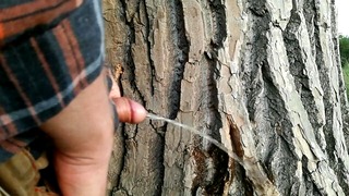 Public pee compilation in the nature